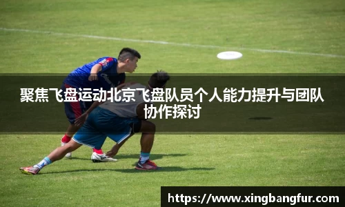 聚焦飞盘运动北京飞盘队员个人能力提升与团队协作探讨
